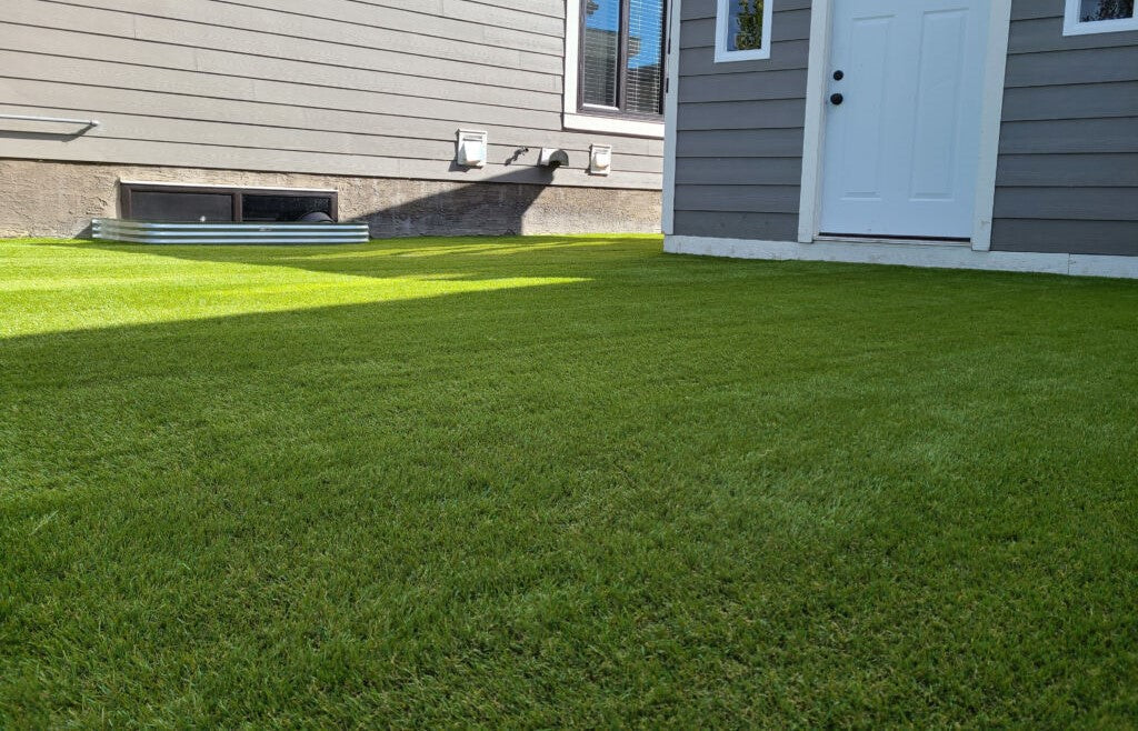 MasterGRASS LUX – Artificial Turf 12' Width, Olive