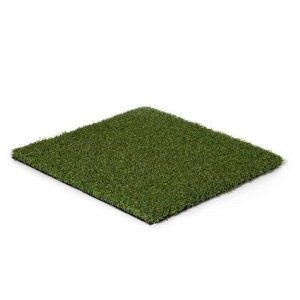 Pro Putt, 15' Width