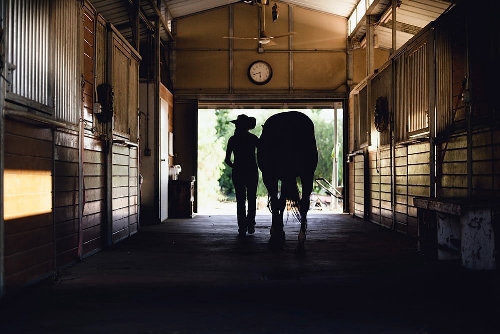 Animal, Horse, & Cattle Mats