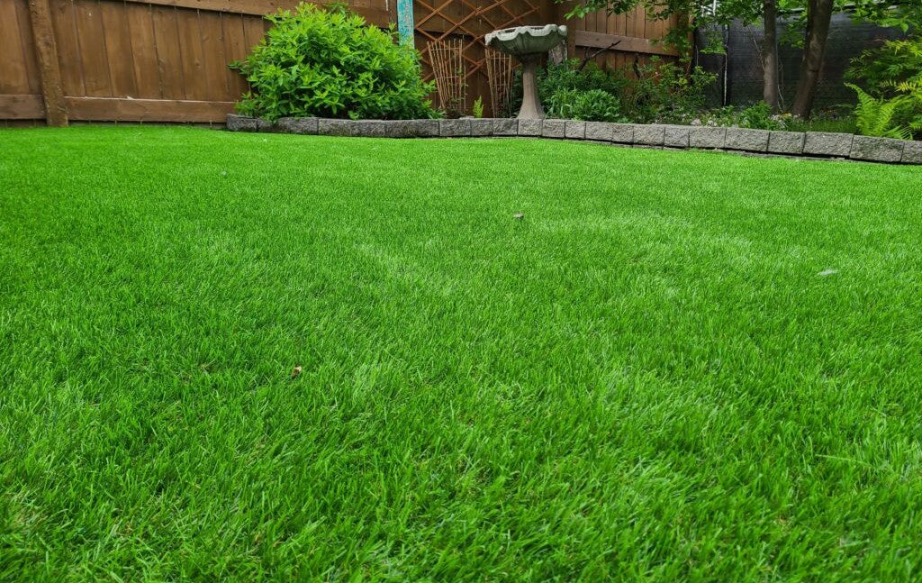 MasterGRASS LUX – Artificial Turf 6' Width, Lime