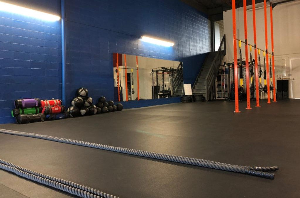 Pro series gym flooring 25' x 4'