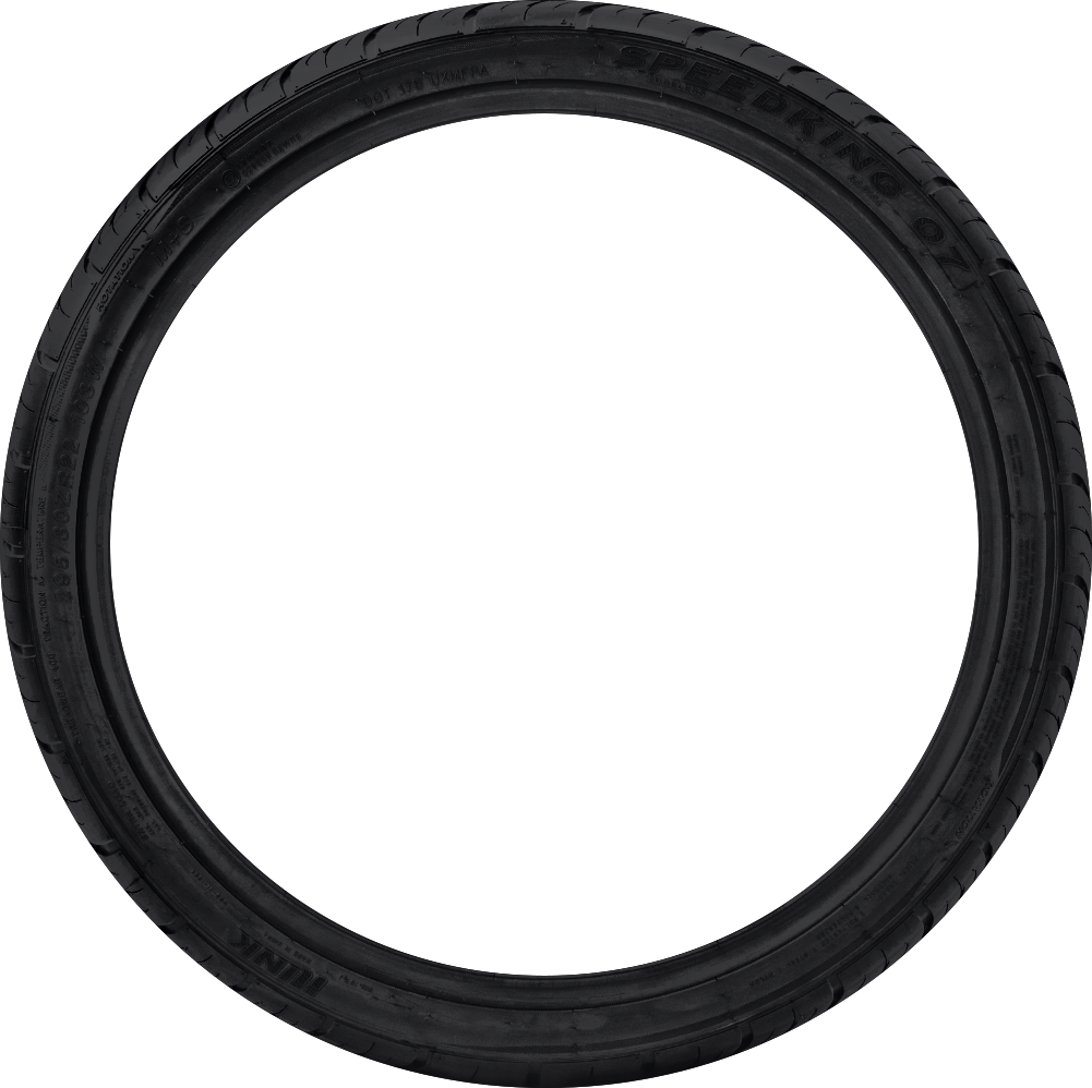 iLink Speedking 07 tire