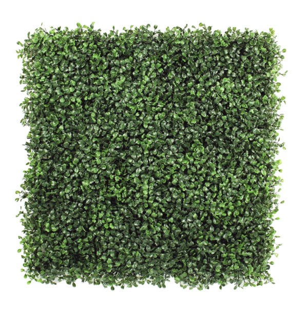 Envywall Boxwood